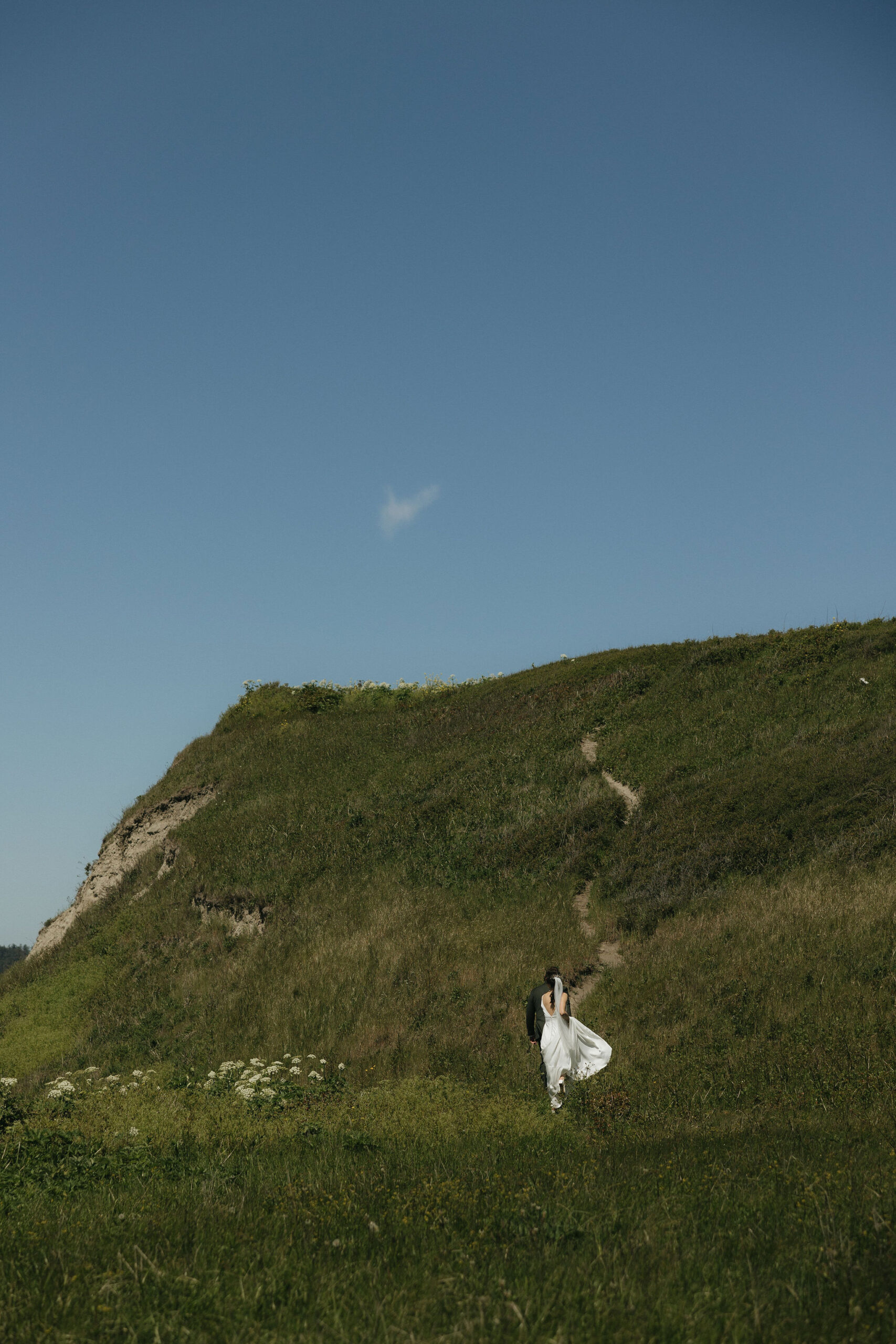 Bride and groom walking in the distance in a field of grass at Fort Ebey State Park