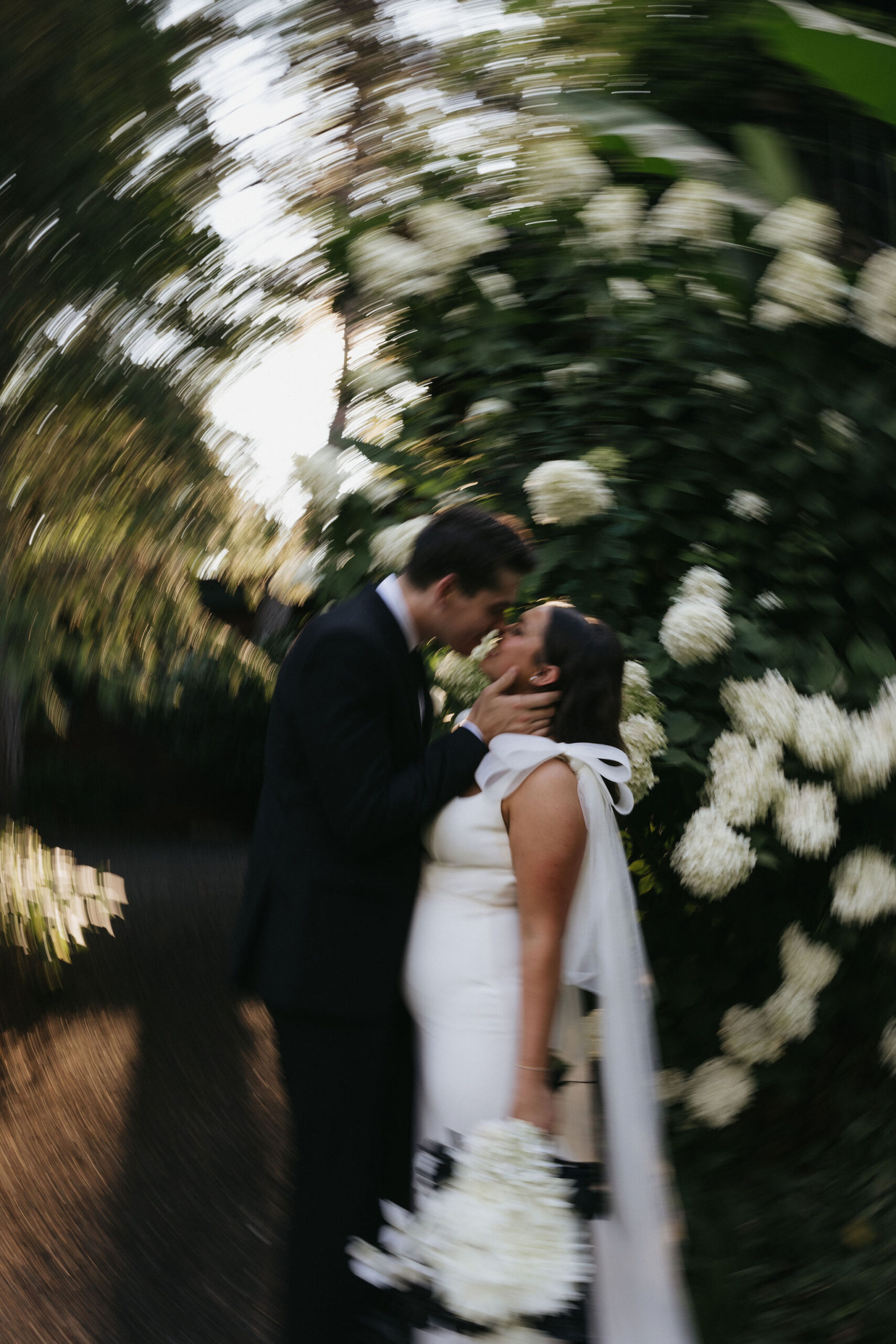 Blurry wedding photo of bride and groom embracing eachother in front of a white rose bush 